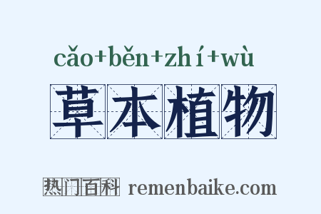 草本植物是什么意思的图片
